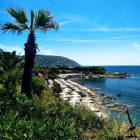 New Seafront Studio